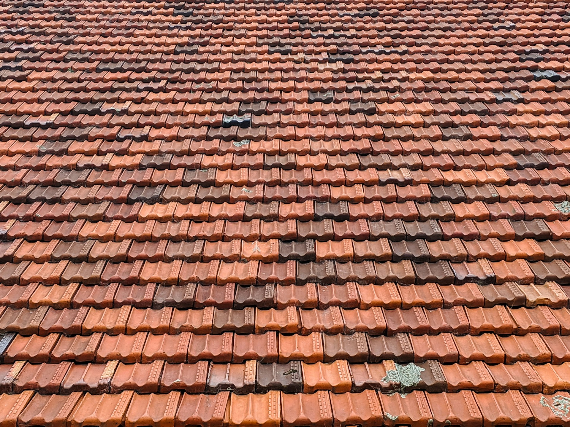 4 Signs You Need a Professional Roofing Contractor to Replace Your Roof